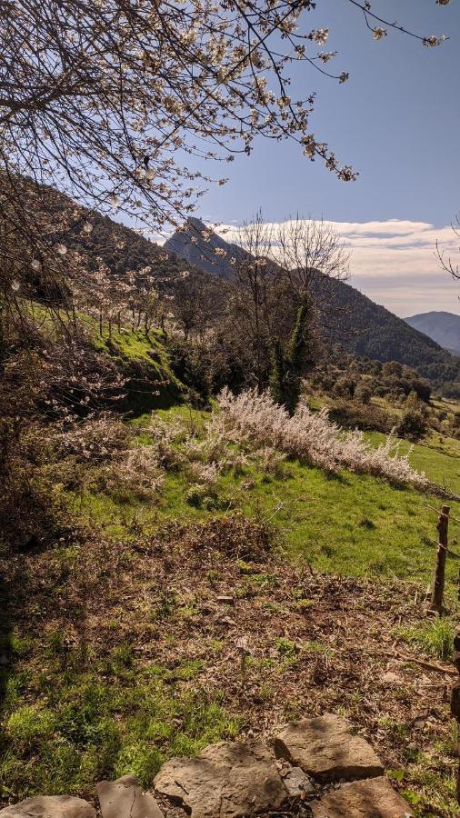 Casa Rural Petricor, Ordesa Vio Exterior foto